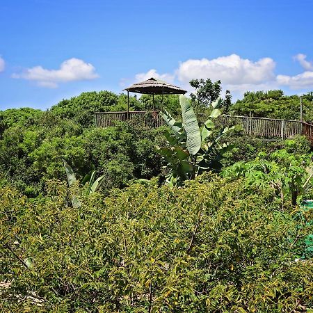 Kosi Bay Lodge Manguzi Buitenkant foto